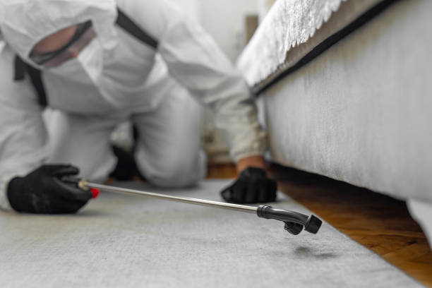 Professional Cockroach Control technician working in Whiteman AFB, MO