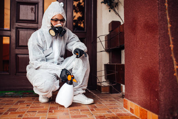 Reliable Cockroach Control contractor in Whiteman AFB, MO by Nex Pest Control